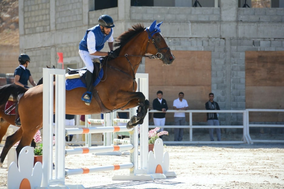 horse_jumping
